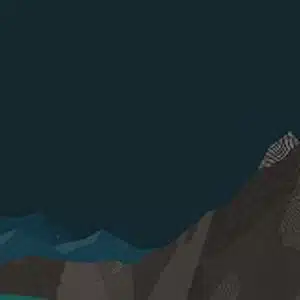 Oracle APEX